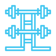 Icon 14